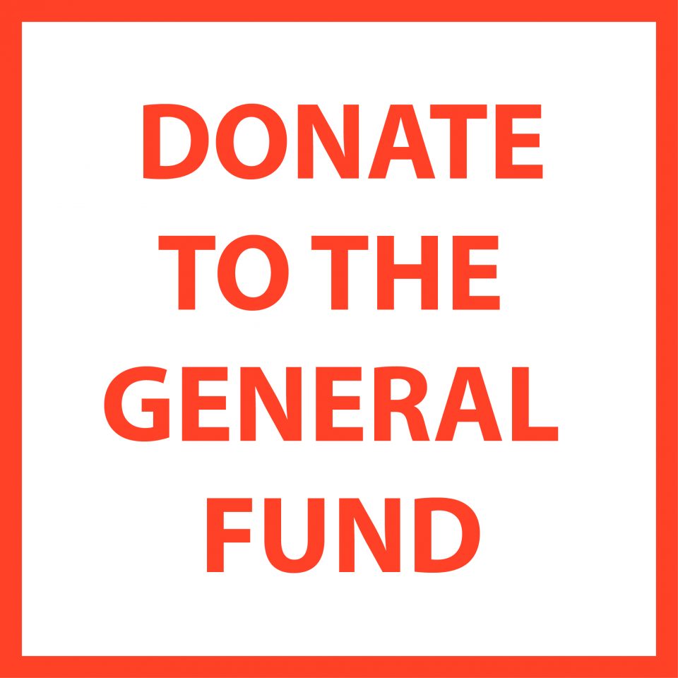 Support through the General Fund