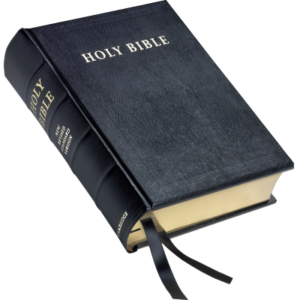 Read more about the article Bible Purchases & Distribution